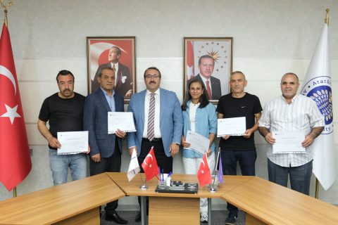 DSCF6656